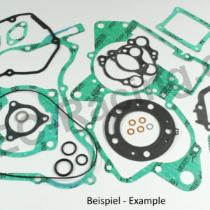 Motordichtsatz (10251)