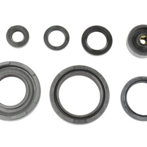 Athena Simmerringsatz (10355)