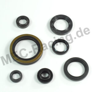 Athena Simmerringsatz (10401)