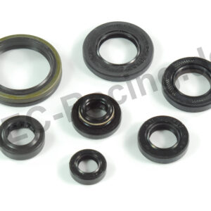 Athena Simmerringsatz (10539)