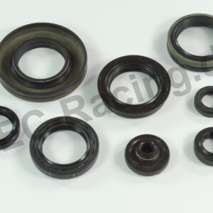 Athena Simmerringsatz (10540)