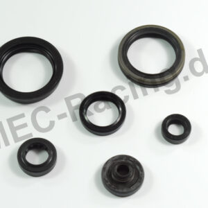 Athena Simmerringsatz (10634)