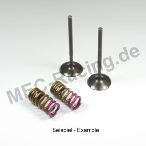 Prox Ventil-Kit (28.SES4406-A1)