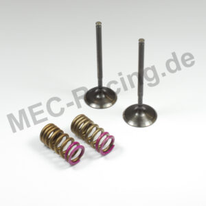 Prox Ventil-Kit (28.SIS1336-E2)