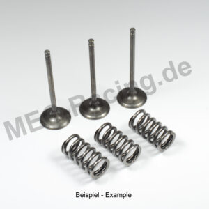 Prox Ventil-Kit (28.SIS2402-E2)