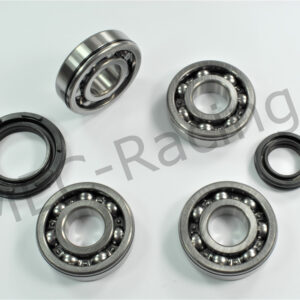 Kurbelwellenhauptlagersatz (BK5227)