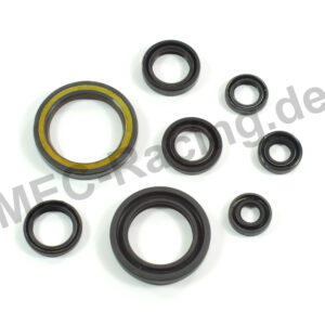 Athena Simmerringsatz (P400210400202)