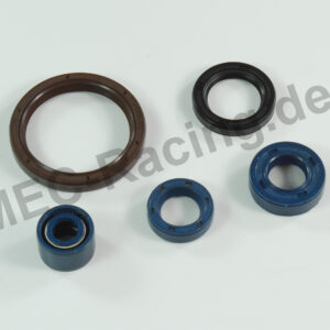 Athena Simmerringsatz (P400220400255)