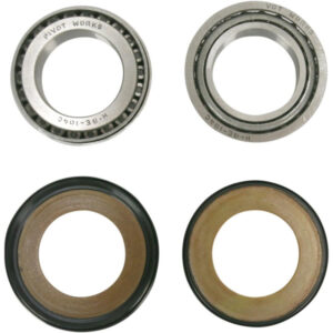 Pivot Works Lenkkopflagersatz (PWSSK-H05-420)