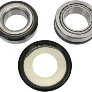Pivot Works Lenkkopflagersatz (PWSSK-Y05-421)