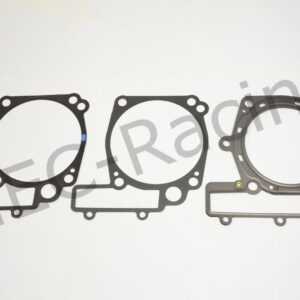 Athena Race Dichtsatz (R0686-015)