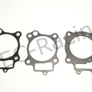 Athena Race Dichtsatz (R2106-095)