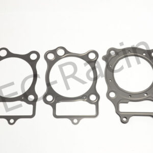 Athena Race Dichtsatz (R2106-202)