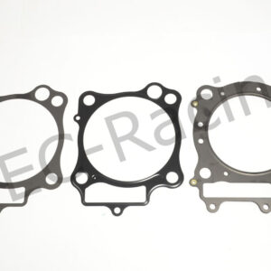 Athena Race Dichtsatz (R2106-209)