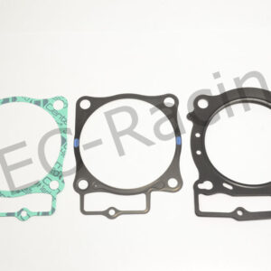 Athena Race Dichtsatz (R2106-239)