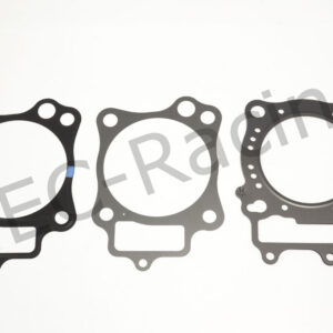 Athena Race Dichtsatz (R2106-319)