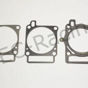 Athena Race Dichtsatz (R2206-263)