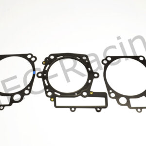 Athena Race Dichtsatz (R2206-266)