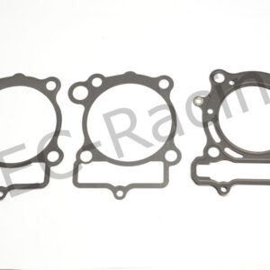 Athena Race Dichtsatz (R2506-016)