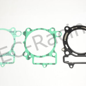 Athena Race Dichtsatz (R2506-024)