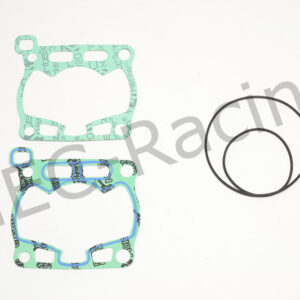 Athena Race Dichtsatz (R2506-034)