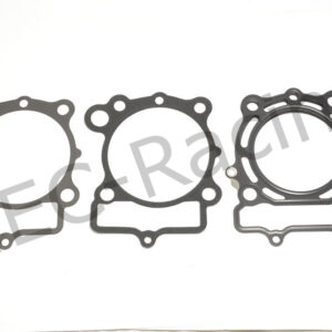 Athena Race Dichtsatz (R2506-047)