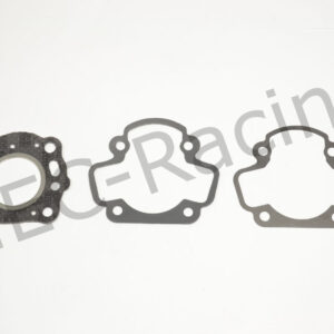 Athena Race Dichtsatz (R2506-061)