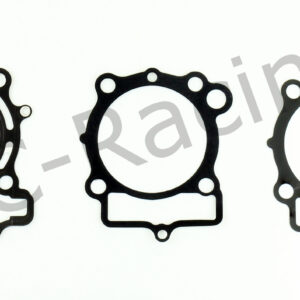 Athena Race Dichtsatz (R2506-069)