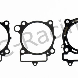 Athena Race Dichtsatz (R2506-072)