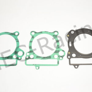 Athena Race Dichtsatz (R2706-016)