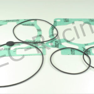 Athena Race Dichtsatz (R2706-023)