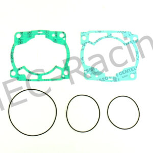 Athena Race Dichtsatz (R2706-099)