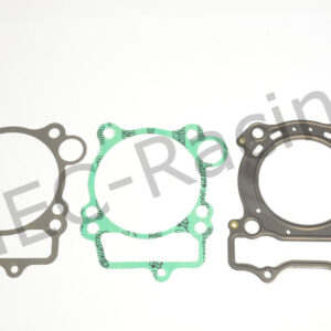 Athena Race Dichtsatz (R4856-039)