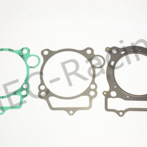 Athena Race Dichtsatz (R4856-053)