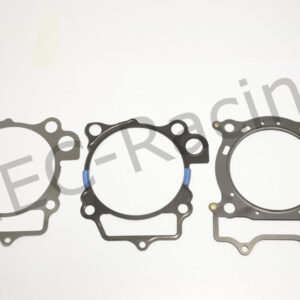 Athena Race Dichtsatz (R4856-053)