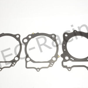 Athena Race Dichtsatz (R4856-099)