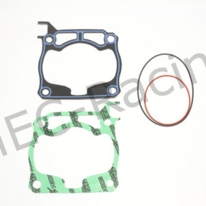 Athena Race Dichtsatz (R4856-118)