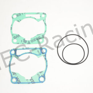 Athena Race Dichtsatz (R4856-199)