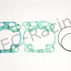 Athena Race Dichtsatz (R5106-031)