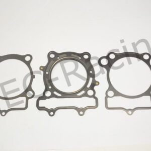 Athena Race Dichtsatz (R5106-050)