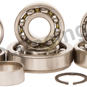 Hot Rods Getriebelagersatz (TBK0033)