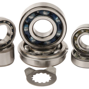 Hot Rods Getriebelagersatz (TBK0077)