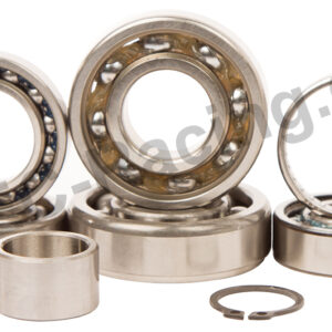 Hot Rods Getriebelagersatz (TBK0087)