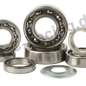 Hot Rods Getriebelagersatz (TBK0094)