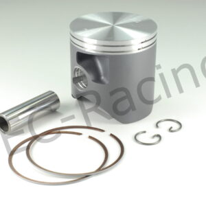 Vertex Kolben (V4391)